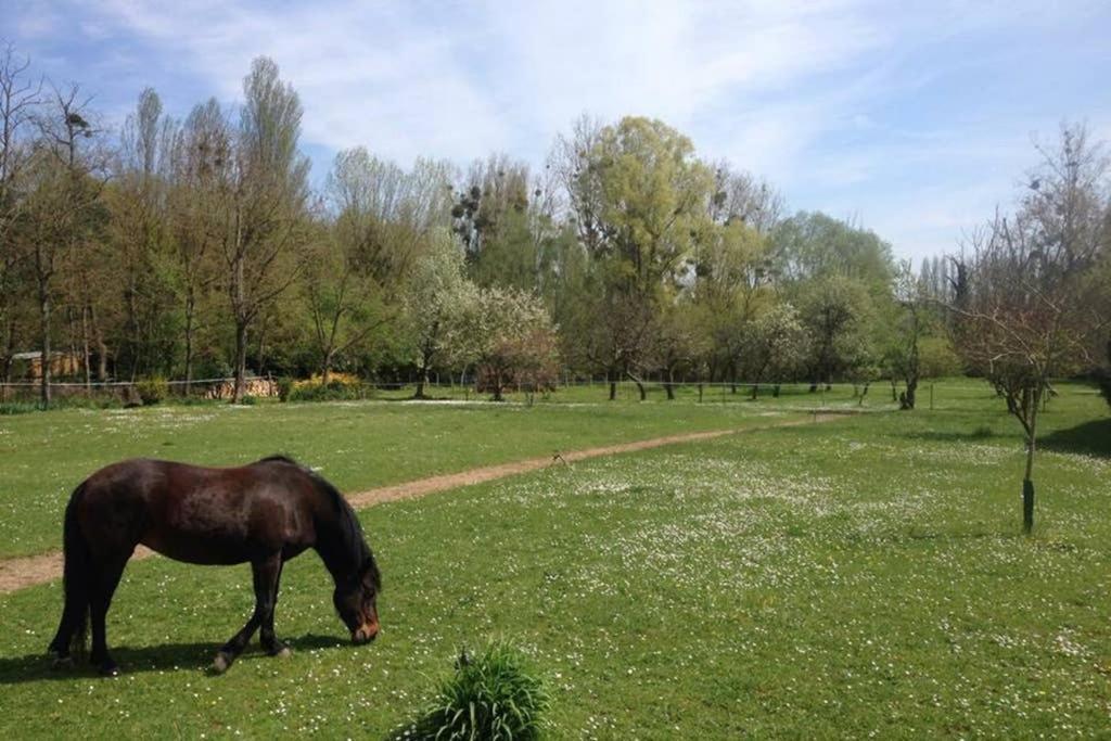 Ferienwohnung La Pierre Levee Montigny-sur-Loing Exterior foto